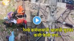 रेल्वे रुळात अडकला श्वानाचा पाय; समोरून आली ट्रेन अन्… रेल्वे कर्मचाऱ्यांनी कशी सुटका केली बघाच; VIDEO पाहून उडेल थरकाप