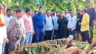 raksha-khadse-visits-unseasonal-rain-damaged-banana-farms-muktainagar-jalgaon