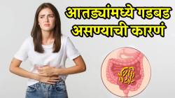 सतत पोट दुखतं, गोड खाण्याची इच्छा होते? ‘ही’ लक्षणं दिसत असतील तर आतड्याचे आरोग्य खराब झालंय म्हणून समजा; डॉक्टरांनी दिला सल्ला