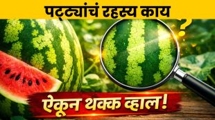 Watermelon Rind Patterns