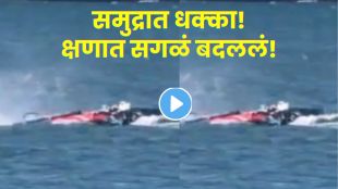 Shocking Whale Collision Video