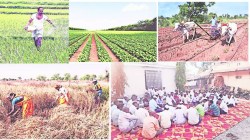 लोकशिवार : शेती आणि भाकीत परंपरा