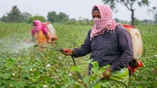 Women working in cotton fields Maharashtra | Health risks of pesticides on female farmers | Vatsalya Plus initiative Dhule | Protective gear for farm workers in India