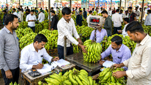 Jalgaon banana market rates updates | Banana price determination committee Jalgaon | Maharashtra agricultural news banana farming | Rohan Ghuge Jalgaon Collector banana rate meeting