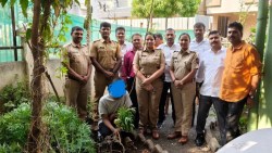 लोहगावमध्ये बंगल्यात गांजाची लागवड करणारा गजाआड, ४१ झाडे लावल्याचे उघड