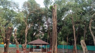 Pune Mayor Bungalow Tree Cutting Controversy | PMC Ghole Road Tree Pruning Rules | Pune News Environment Issues | Mayor Manjusha Nagpure Residence Trees