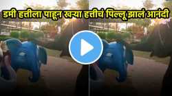 डमी हत्तीला पाहून खऱ्याखुऱ्या हत्तीचं पिल्लू गोंधळलं अन् पुढं काय केलं एकदा पाहाच; मजेशीर VIDEO VIRAL