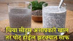 दह्यासोबत की पाण्यासोबत? चिया सीड्स अशाप्रकारे खाल तर पोट होईल झटक्यात साफ; ९० टक्के लोकांना माहितीच नसेल ही गोष्ट