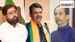 शिंदेंच्या ऑपरेशन टायगरला भाजपाचा ब्रेक? ठाकरे-पवारांचे खासदार फोडण्यास मनाई? महायुतीत काय घडतंय?