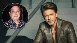 “…म्हणून आजवर शाहरुख खानबरोबर काम केलं नाही”, डेव्हिड धवन यांचा खुलासा; काय आहे नेमकं कारण? म्हणाले…
