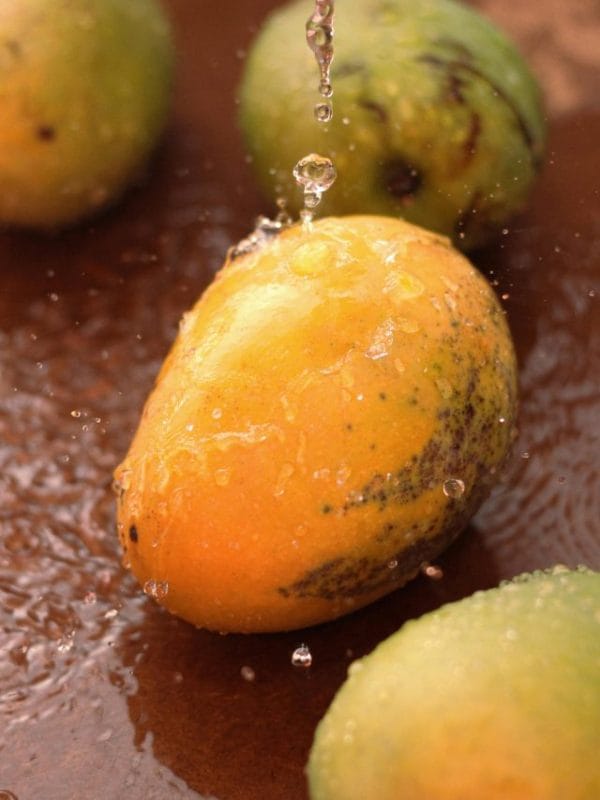 mango health benefits