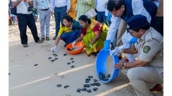 ‘कासव महोत्सव’ केवळ पर्यटन उपक्रम नसून पर्यावरण संवर्धनाची चळवळ; आमदार दिपक केसरकर