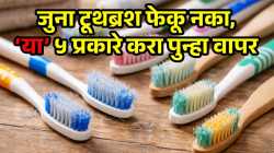 जुना टूथब्रश फेकू नका, ‘या’ ५ प्रकारे करा पुन्हा वापर; फरशीपासून लॅपटॉपपर्यंत ‘या’ वस्तू करा चकाचक