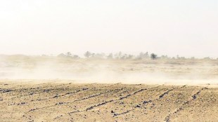 Science of soil formation process | Difference between dust and soil Marathi | Components of household dust | Why soil is considered living entity vs dust