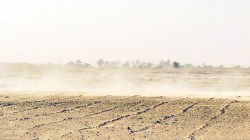 कुतूहल : धूळ म्हणजेच माती?