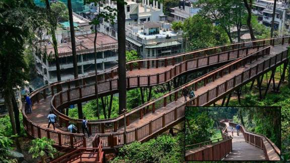 Elevated Nature Trail Mumbai Malabar Hill forest walkway | Online ticket booking for Mumbai tree top walk | मलबार हिल निसर्ग उन्नत मार्ग मुंबई | मुंबईतील पहिला फॉरेस्ट वॉकवे तिकीट आणि वेळ