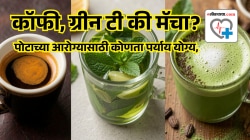 मॅचा, ब्लॅक कॉफी की ग्रीन टी, पोटाच्या आरोग्यासाठी नेमकं काय पिणं फायदेशीर? तज्ज्ञांचा खुलासा