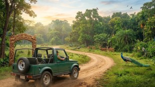 maharashtra-wildlife-kanhalgaon-ghodazhari-pranhita-isapur-sanctuaries-transfer-wildlife-department-order