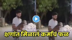 VIDEO: ‘प्राण्यांसाठी कोणी नसले तरी देव असतो’, श्वानासोबत मजा करण्याचा नाद काही मिनिटांतच मिळालं कर्माचं फळ; पाहा पठ्ठ्यासोबत नेमकं काय घडलं?