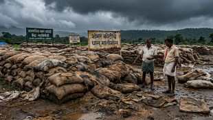 Gadchiroli Paddy Scam investigation 100 crore loss | Tribal Development Corporation paddy corruption news | गडचिरोली धान घोटाळा तपास | आदिवासी विकास महामंडळ धान खरेदी भ्रष्टाचार