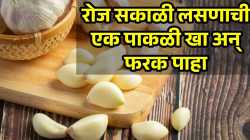 रोज सकाळी रिकाम्या पोटी लसणाची पाकळी खाल्ल्यास काय होईल? कोणते आजार राहतात दूर? वाचा