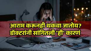 health your brain battery remains down even after rest know what the reasons