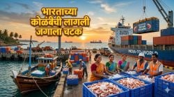 भारताच्या कोळंबीची लागली जगाला चटक; सागरी खाद्य निर्यात ८.२८ अब्ज डॉलरवर, आर्थिक वर्षातील आजवरचा उच्चांक