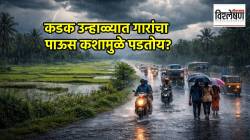 Weather Alert : मान्सूनचे संकेत की वळवाचा तडाखा? देशभरात मुसळधारा पावसाचा इशारा; आयएमडीचा अंदाज काय सांगतो?