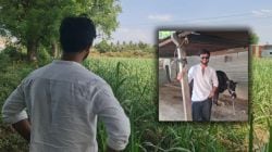 “आपलं वावर…”, लोकप्रिय मराठी अभिनेत्याची नवीन सुरूवात, मालिका संपताच शेती करण्याचा घेतला निर्णय; चाहत्यांकडून कौतुक