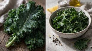 kale vegetable gives more calcium than milk