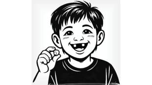 human tooth development stages | milk teeth vs permanent teeth | child dental growth cycle | baby teeth falling process explanation