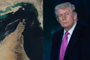 Donald Trump on Strait of Hormuz oil crisis | इराण-अमेरिका संघर्ष होर्मुझची सामुद्रधुनी | US Iran conflict maritime route impact | डोनाल्ड ट्रम्प यांचे इराणबद्दल विधान