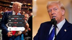 Donald Trump White House UFC Post US Iran Conflict: “फक्त विजय!”; इराणबरोबरच्या तणावादरम्यान व्हाईट हाऊसची ‘ती’ गूढ पोस्ट चर्चेत