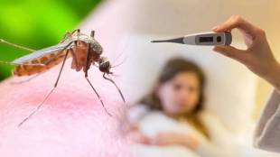 Malaria prevention awareness Maharashtra | Health department mosquito control measures | Symptoms of malaria fever treatment | World Malaria Day 2026 updates Mumbai