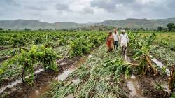 गतवर्षीच्या अवकाळी बाधितांना दिलासा; या जिल्ह्यांना मिळणार कोट्यवधींची मदत