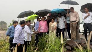 Maharashtra Unseasonal Rain Crop Damage News