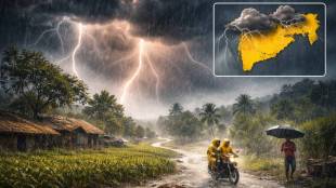 Maharashtra unseasonal rain update | IMD yellow alert districts list | Maharashtra weather forecast temperature drop | Thunderstorm and lightning warning Maharashtra