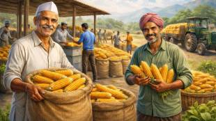 Maize MSP procurement center Maharashtra | Chhagan Bhujbal announcement farmers relief | Government maize purchase deadline extension | Maize crop quality certification India