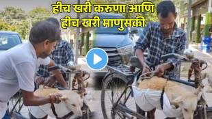 man help sick stray dog viral video
