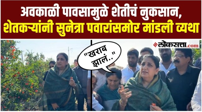 Deputy Chief Minister Sunetra Pawar inspected the agricultural damage caused by unseasonal rains in Baramati