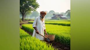 Sindhudurg farmers paddy cultivation issue | E-Pik Pahani technical error Maharashtra | Farmers deprived of MSP in Sindhudurg | Maharashtra government paddy procurement delay 2026