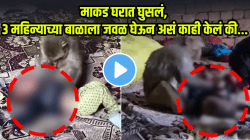 माकड घरात घुसलं, ३ महिन्याच्या बाळाला जवळ घेऊन असं काही केलं की…, VIDEO पाहून थरकाप उडेल