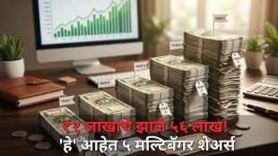 BSE share 56 times return Motilal Oswal study | RVNL and Jindal Stainless multibagger performance | ५ वर्षांत सर्वात जास्त परतावा देणारे शेअर्स | मोतीलाल ओसवाल संपत्ती निर्माण करणारे शेअर्स