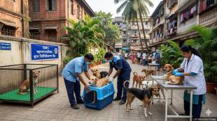 BMC stray dog sterilization project Mumbai | Mumbai Municipal Corporation animal birth control program | stray dog population control Maharashtra | BMC veterinary department dog neutering campaign