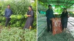 Nagpur Sericulture Success Story: भर उन्हाळ्यात नागपूरचे शेतकरी झाले ‘लखपती’; रेशीम शेतीने बदलले नशीब, एका महिन्यात लाखांची कमाई!