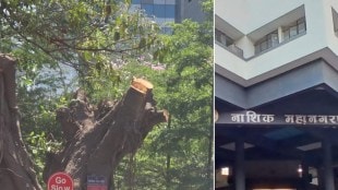 nashik-ngt-stays-tree-cutting-kumbh-mela-municipal-corporation-ayush-prasad-environmental-protest