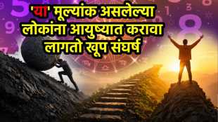 numerology struggle to success tips