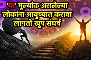 numerology struggle to success tips