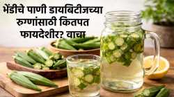 भेंडीच्या पाण्याने रक्तातील साखर खरंच कमी होते का? डायबिटीजच्या रुग्णांसाठी हे कितपत फायदेशीर, जाणून घ्या