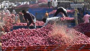 Nashik onion market price update | Summer onion export crisis Maharashtra | Lasalgaon onion market rates | Impact of Gulf war on Indian onion export